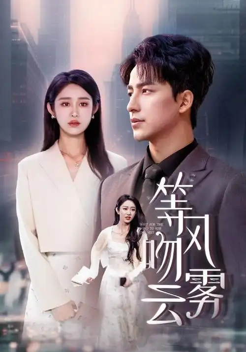 绝命毒师 电视剧海报